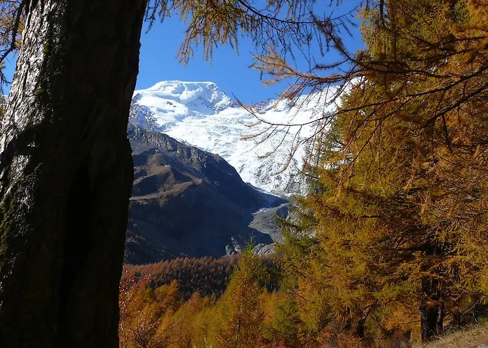 萨斯费阿尔本芬公寓