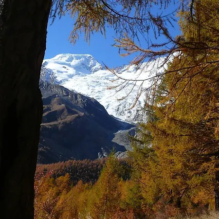 Apartments Alpenfirn Saas-Fee